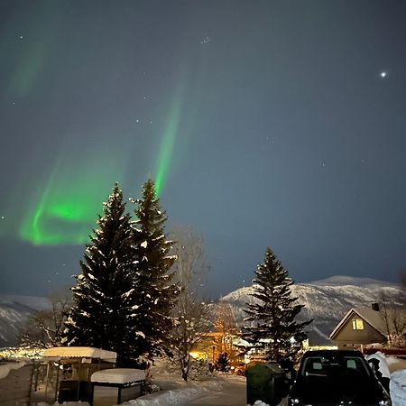 Arctic 3 Room Apartment - Aurora View - Free Parking Tromsø Buitenkant foto